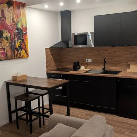 T2 meublé haut de gamme 42 m² - Centre Nîmes - Coupole