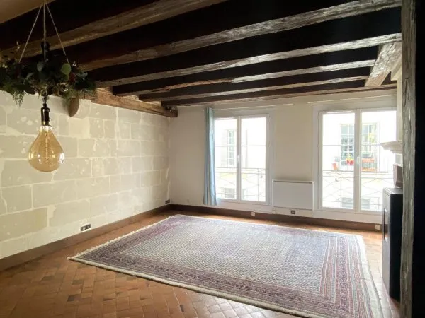 Duplex de charme en plein coeur de Tours