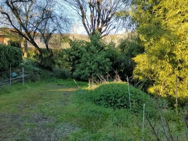 TERRAIN CONSTRUCTIBLE SAINT DIDIER AU MONT D OR - 800M²