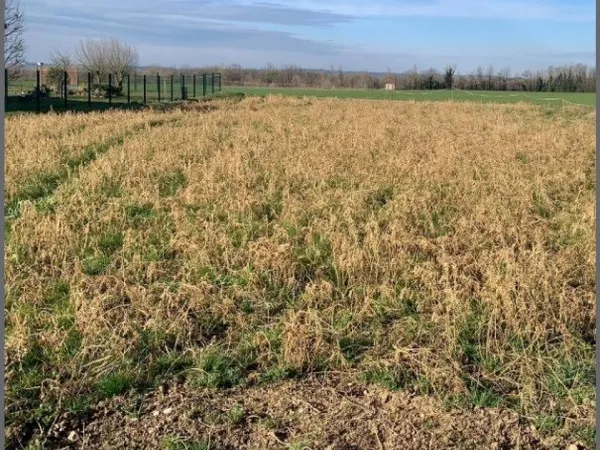 A vendre terrain constructible