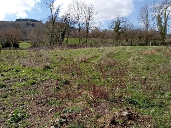 Terrain constructible viabilisé