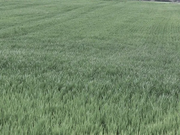 A vendre terrain agricole de 25 445,00 m² - DANGE SAINT ROMAIN (86)