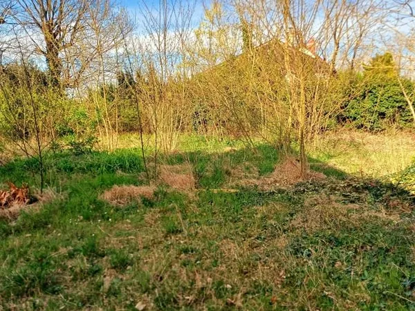 Maison 1 pièce 40 m²