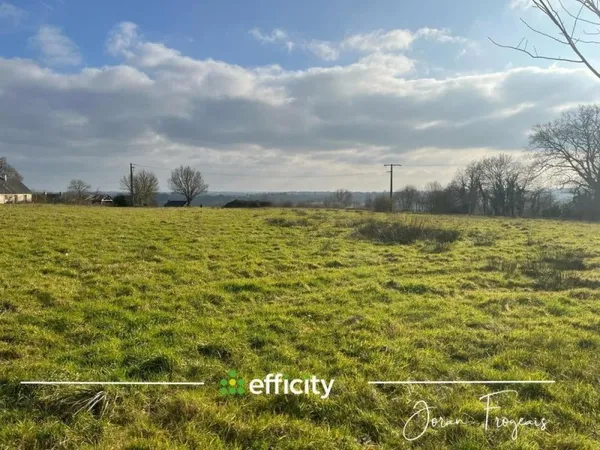 Terrain à bâtir Vente Princé  11000m² 104500€