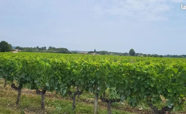 Terrain 1 960 m² Portets