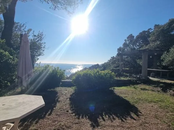 Propriété 7 pièces 250 m²
