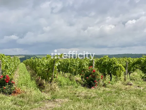 Terrain 967 m²