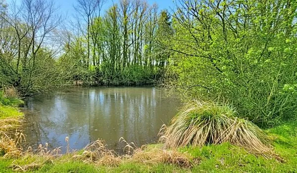 Terrain 4014 m²