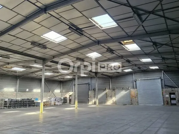 Local d'activité 1180 m²