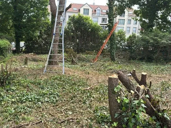 Terrain 500 m²