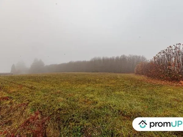 Terrain 7719 m²