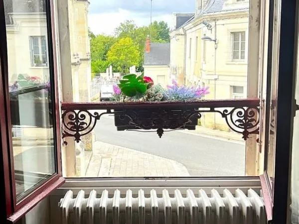 Bien immobilier de rendement Vente Genillé 7p 169m² 166000€