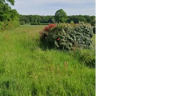 Terrain Juigne Des Moutiers 1200 m2