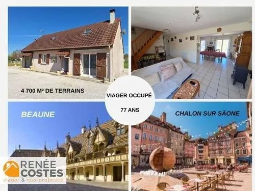 Viager occupé - H78 ans - FRONTENARD (71270)