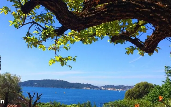 Toulon Mourillon villa vue mer