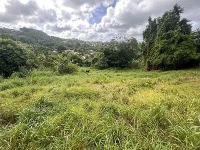 Le François (97240), terrain de 3105 m2 avec une pente douce