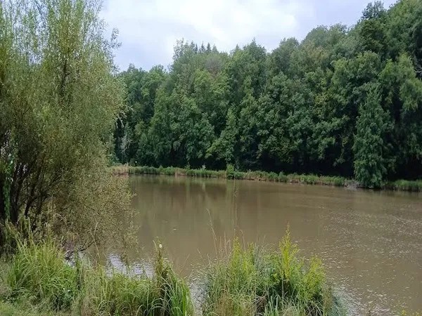 Terrain 25660 m²