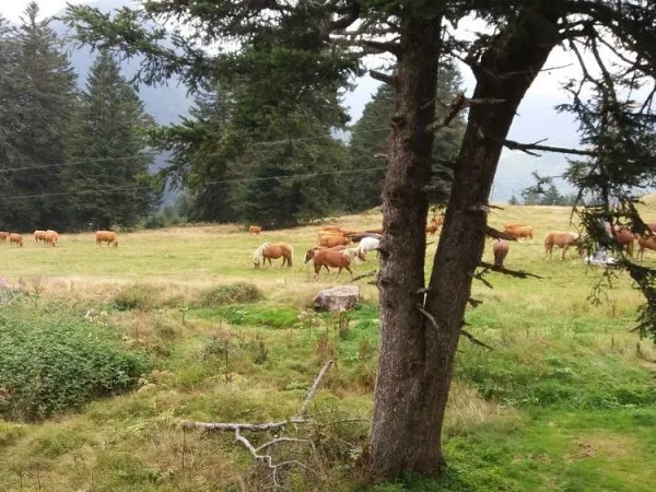 Pyrénées ariégeoises appartement de 2 pièces