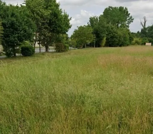 Terrain 533 m² Pisany