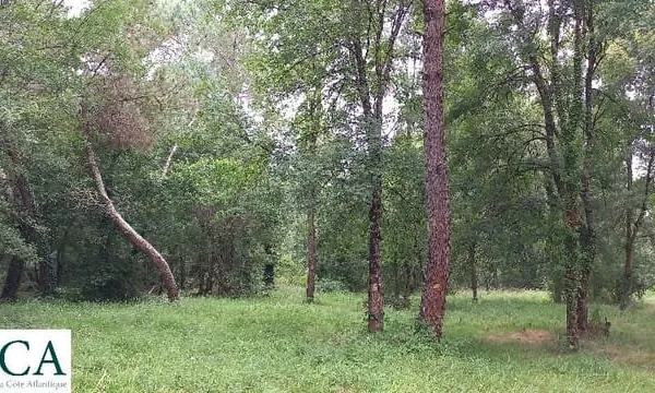 Terrain à bâtir à Ménesplet (24700)