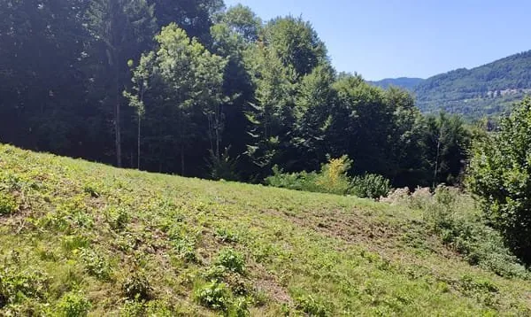 Terrain constructible à Russ, lieu-dit Steinbach, 15.63 ares