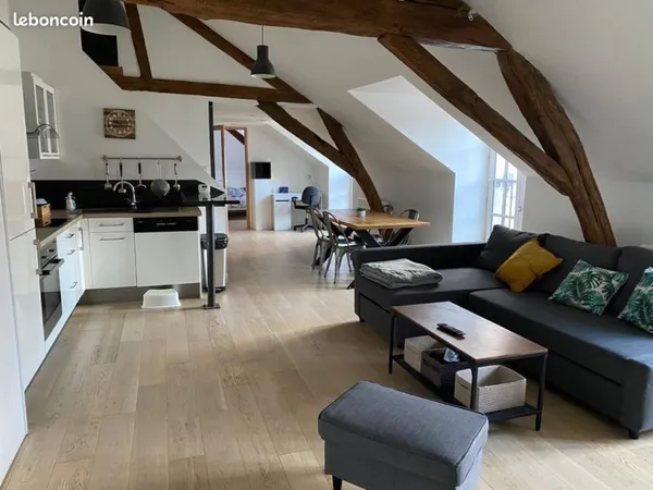 Superbe loft de 70m² situé en plein centre ville d'Orléans