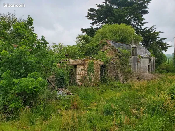 A vendre campagne de tourch 29