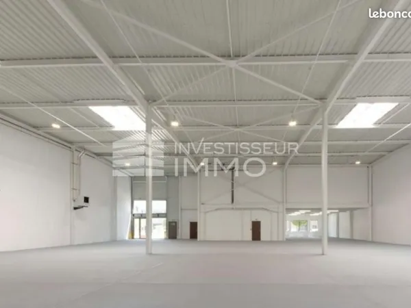 Local d'activité 1 117 m²