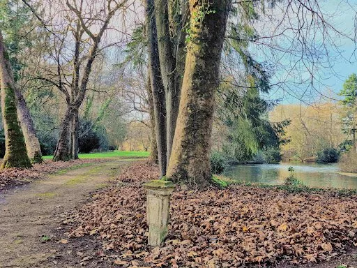 Propriété 10 pièces