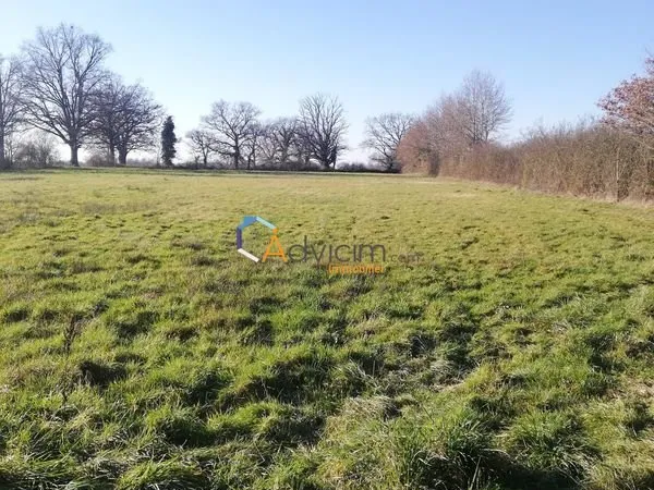 Terrain 9298 m² Chaillac