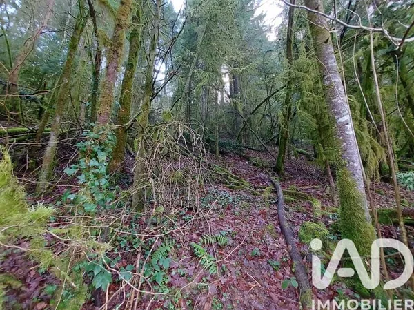 Terrain 6262 m²