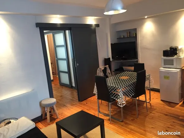 Magnifique appartement T2 refait à neuf, non meublé, centre ville, Pont neuf