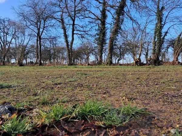 Terrain 438 m²
