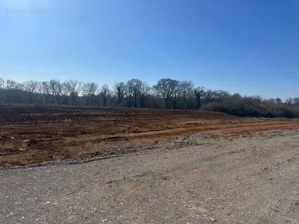Terrain 550 m²