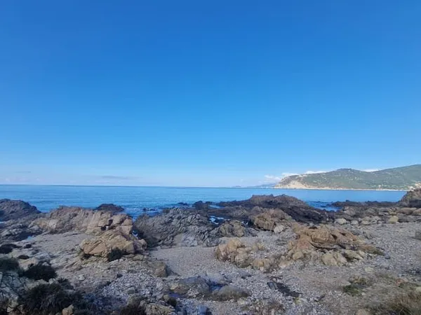 Terrain 2060 m²