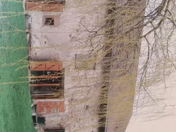 Maison genre fermette