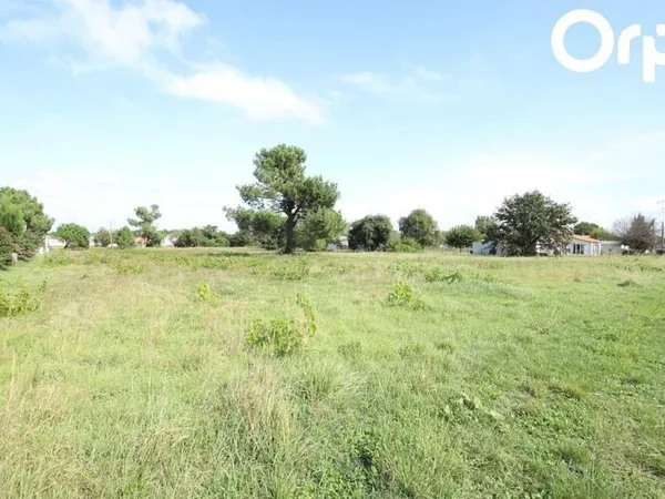 Terrain 503 m²
