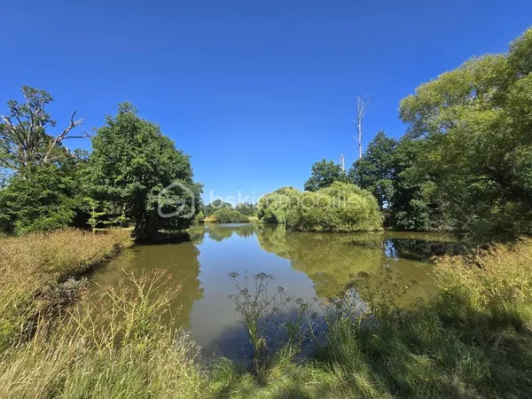 Terrain 45908 m²