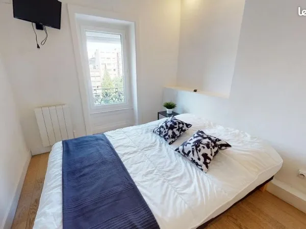 Appartement meublé de 48.m2 Lyon6