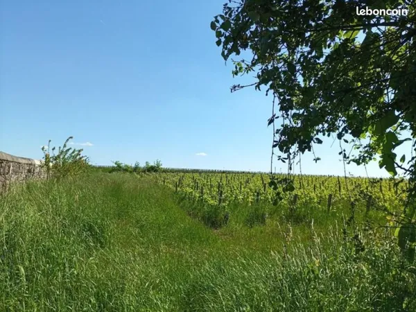 Terrain 432 m² Margaux Cantenac