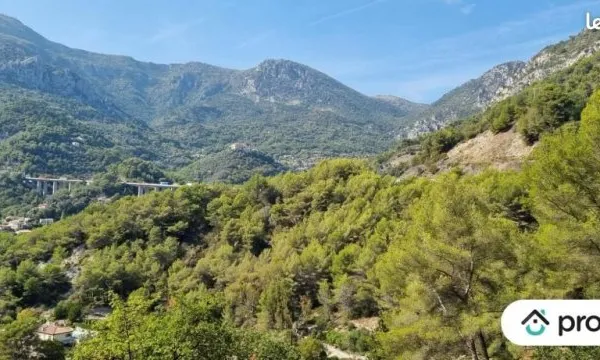 Terrain 2 048 m² Gorbio