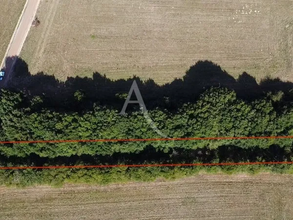 Terrain 1550 m²
