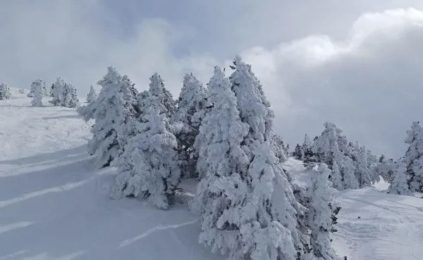 Appartement lumineux au pieds des pistes