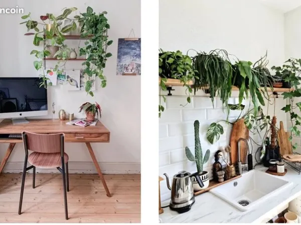 Appartement ou maison