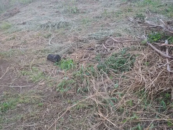 Terrain de 573 m2