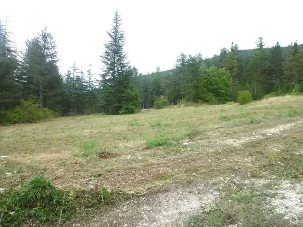 Terrain constructible viabilisé 2277 m²