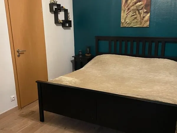 Location de logement meublé