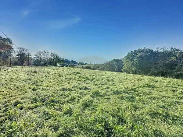 Terrain constructible