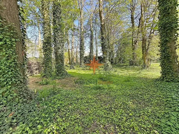 Opportunité rare sur Gournay sur Marne