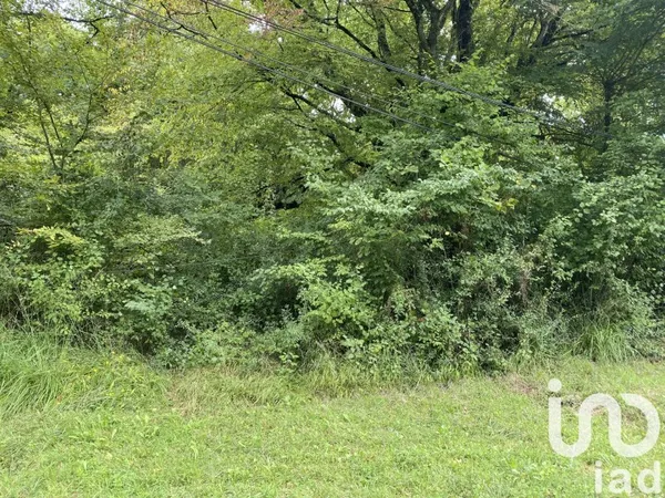 Terrain 10388 m²